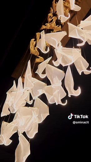 Exploring Charlotte's Food Scene and Local Bars