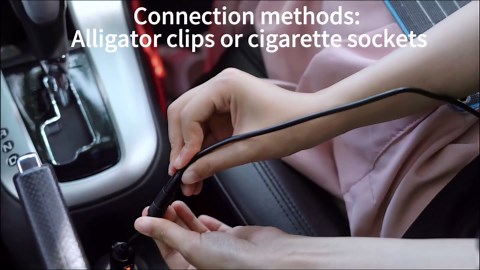 Nicesolar 10W 12V Solar Panel Car Battery Trickle Charger & Maintainer with Cigarette Lighter Plug & Alligator Clip for Car Automotive Motorcycle Boat Marine Snowmobile Watercraft RV