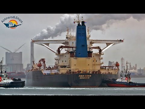 HUGE CRUDE OIL TANKER arrives at ROTTERDAM Port - Shipspotting ROTTERDAM November 2021 - 4K