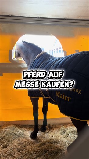 Erlebnisberichte von der Pferd Bodensee Messe