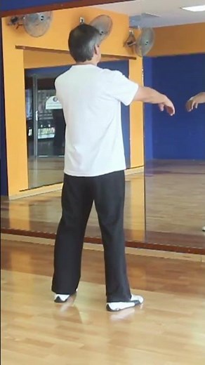 GRATIS Tai Chi. Práctica de lecciones 1, 2, y 3. Forma Yang 10 movimientos.