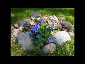 New Camera First Test: Olympus PEN E-PL6