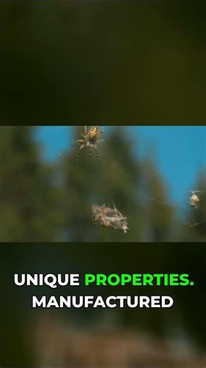 Nature's Amazing Factory: Spider Silk vs Steel and Nylon