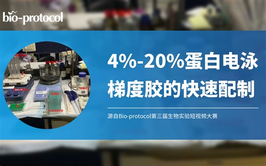 【短视频大赛】4%-20%蛋白电泳梯度胶的快速配制