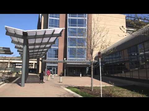 Harry S Truman College - Making Your Success Happen