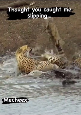 Mechee X on Instagram: "Watch yo back and watch yo front because it’s always a hater on the hunt…"