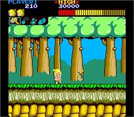 Wonder Boy - Arcade - Games Database