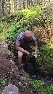 🌳Black Forest🌲 - 76km hike 🥾