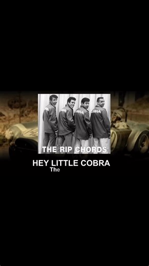 The Rip Chords - Hey Little Cobra (1963) •Preview• | The 1950s/Early 1960s Music & Memories