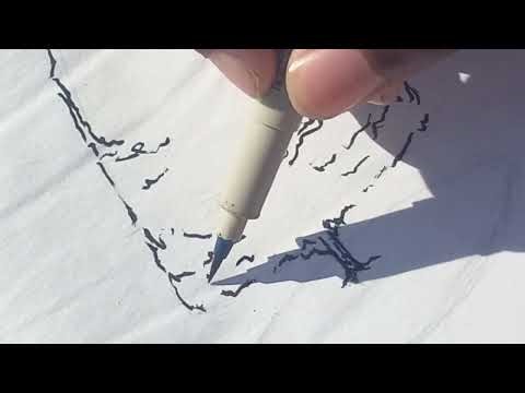 Drawing A Tree In Pen From Start To Finish (Original Speed)