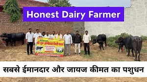 7.2K views · 109 reactions | North India का सबसे जायज कीमत पर पशुधन देने वाला डेयरी फार्म - Guru Jambeshwar Dairy Farm | Sansaniwal Dairy Farm | Facebook