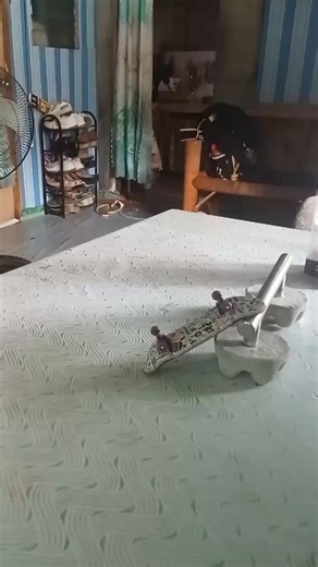 Amazing Fingerboard Tricks You Need to Try