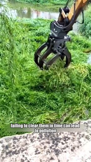 Why Workers Must Remove These River Weeds Before It’s Too Late | Tech Fusion