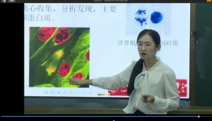 高中生物优质课观摩暨教学培训研讨会《细胞核的结构与功能》