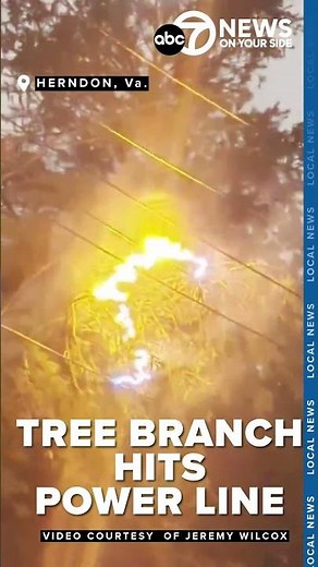 Fire break outs after tree limb hits powerline