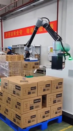 #CollaborativePalletizer #RoboticPalletizer #PalletizerSmartEquipmentManualBagRemoval