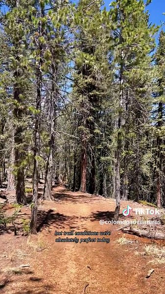 Raspberry Mountain Trail: A Dog-Friendly Adventure