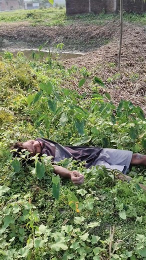 wait for end #comedy #shortvideo #viralshort #ternding #shortvideo