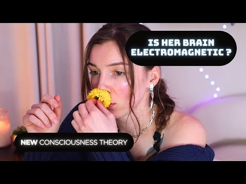 What is Consciousness? Consciousness Electromagnetic Information (CEMI) Field Theory