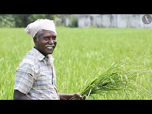 Crop Production And Management | Part 2/2 | English | Class 8