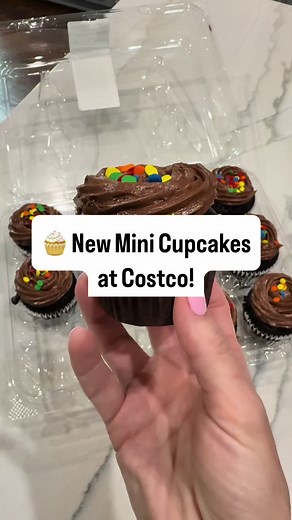 Delicious Chocolate and Vanilla Cupcakes at Costco