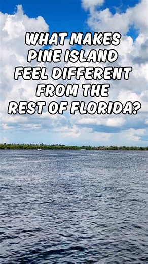 🌴 Hey Islanders and visitors! We’re curious about what sets Pine Island apart from the rest of Florida for you. Share your thoughts in the comments! We can't wait to hear your unique perspectives. Have a beautiful day! 🌞 #pineislandvibes #floridagems #islandlife | Greater Pine Island Chamber of Commerce