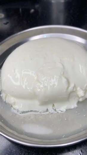 How to Make Thick Curd at Home | Perfect Homemade Curd Recipe 🥛✨ #homemadecurd #curdrecipe #shorts