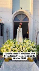 The serpent poured water like a river out of his mouth after the woman, to sweep her away with the flood. But the earth came to the help of the woman, and the earth opened its mouth and swallowed the river which the dragon had poured from his mouth. ( Revelation 12:15-16 ) | My Mother Mary