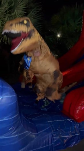 Barbara Padilla on Reels