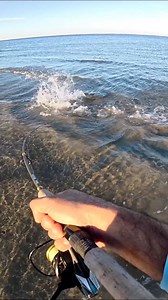 99K views · 2.2K reactions | Peleo más al final  #Pesca #FishingLife #Lenguado #fishingreels #playa | Pesca Poker | Facebook