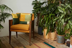 10 Plants With Spiky Leaves That Every Home Needs