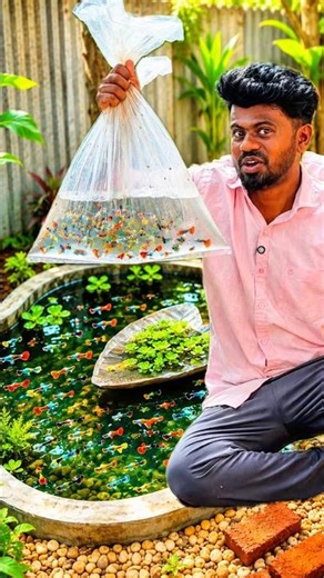 😯Surprise ✅ | finished | Guppies Pond | balasvoyage