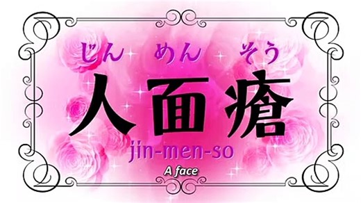 Passion | movie | 2013 | Official Trailer