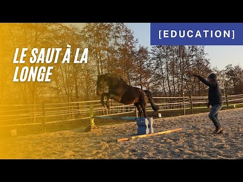 [ Education ] - Comment apprendre au cheval à sauter correctement en longe ?