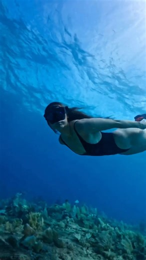 32K views · 777 reactions | Diving headfirst into the depths of...