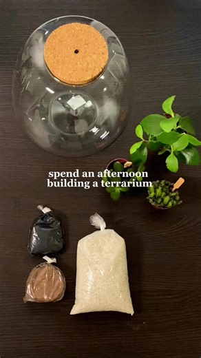 bloomboxclub on TikTok