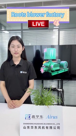 Root blower factory live on Philippine time 10:00 am!Welcome to join our live stream!#rootsblower #rootblower #blowerfactory #tiktoklive