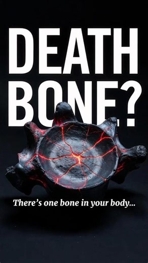 The Bone That Can Kill You☠️ Instantly#bodyfacts #didyouknow #bones #dangerousfacts