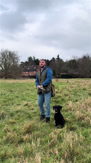 #gundog training with #blacklabrador in the #country @Dog & Field