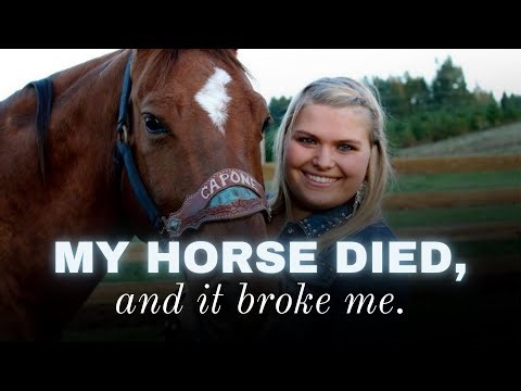 My Horse Died, and it Broke Me