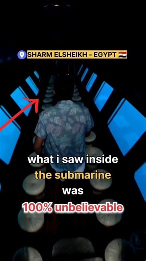 4.3K views · 25 reactions | Dive with me into the incredible world...