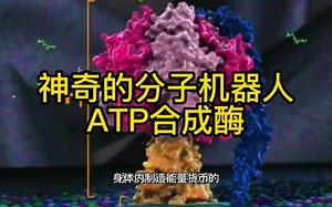 神奇的分子机器人ATP合成酶