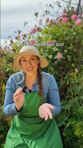 Micro Class - Soil Test DIY - Kings Seeds