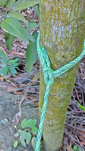 This Knot Is Genius! 😮 #KnotTrick #RopeKnot