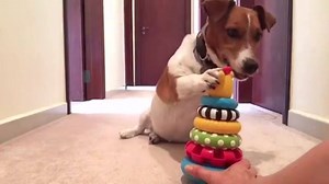 3.1M views · 81K shares | Good morning! Mum bought a new ring stacking toy!!!! It is less stable, all rings have different surfaces and I even have to put a funny head on top at the end | Boricasso | Facebook