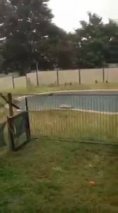 It's good to see and hear rain falling in another town that's seen very minimal activity of late... Georgetown. 35mm recorded by Michelle in the last hour with the cell remaining stationary over town, hopefully that's means a lot more can fall before it dissipates. Video credit: Michelle Newcombe | Higgins Storm Chasing