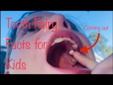 Tooth Fairy Facts for Kids