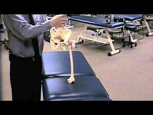 6 Trendelenburg's Sign