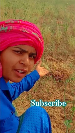 #meradilbhi #song #viral #trending #trendingshorts #youtube #shorts #trendingshorts #viralvideo