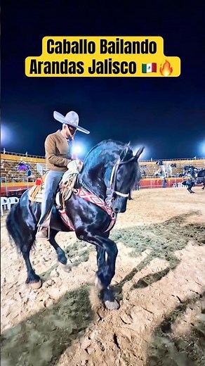 Caballo Bailador Frisón | Elegancia y Fuerza en la Expo Feria Arandas 2026 🐎🔥